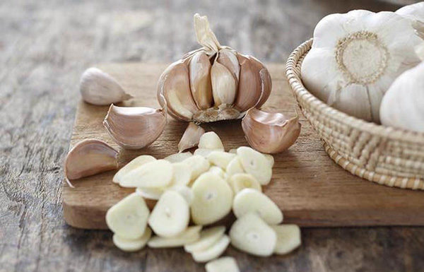 Highly Effective Garlic Method to Get Rid of Mosquitoes