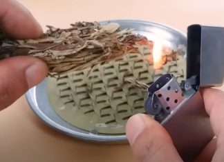 Grab this scented leaf to keep your room fresh and mosquito-free