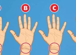 The Secrets to Success: How the Lines on Your Wrist Can Predict Your Wealth and Future