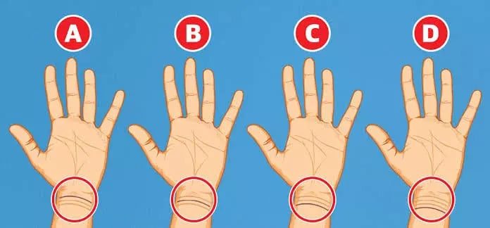 The Secrets to Success: How the Lines on Your Wrist Can Predict Your Wealth and Future