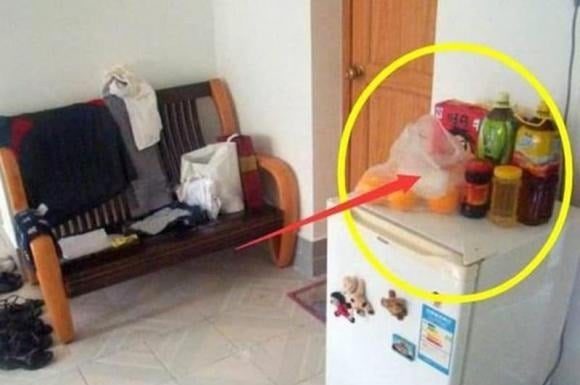 What are these 3 things on top of the fridge that can make all the money in the house disappear?