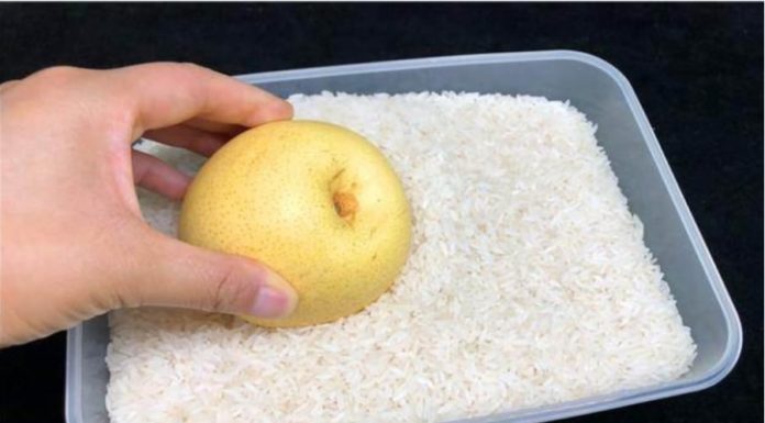 Planting Seeds in the Rice Barrel: Small Mother, Big Benefits. Everyone Wants to Follow Suit.