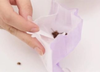 Put pepper under the bed, benefit all the way that many people don’t know