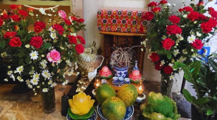 Don’t Put Chrysanthemums on the Altar of the God of Wealth Anymore: Here are 5 Beautiful Flowers That Bring Good Fortune