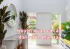 The Power of Flower Pot Placement: 3 Feng Shui Positions for a Prosperous Home
