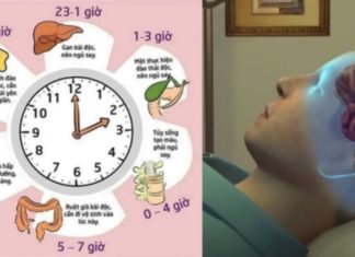 Wake up at this time to avoid diseases, stop cell K