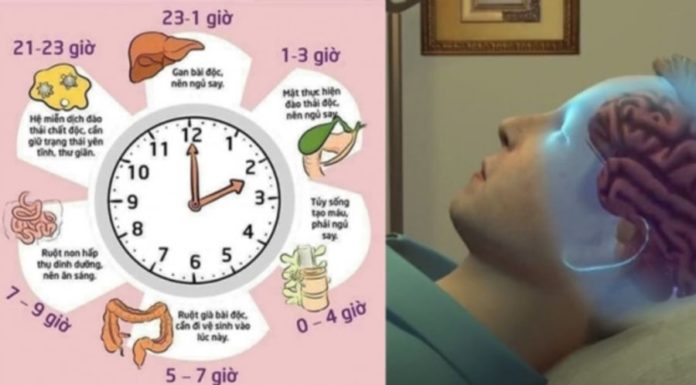 Wake up at this time to avoid diseases, stop cell K