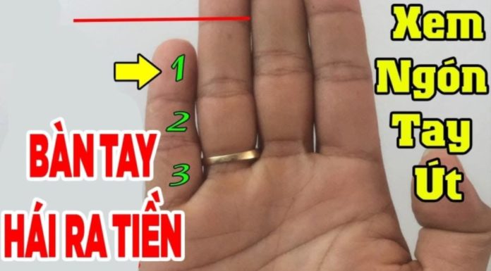 The Length of the Little Finger: Who Has This One Point Can Enjoy Thoroughly