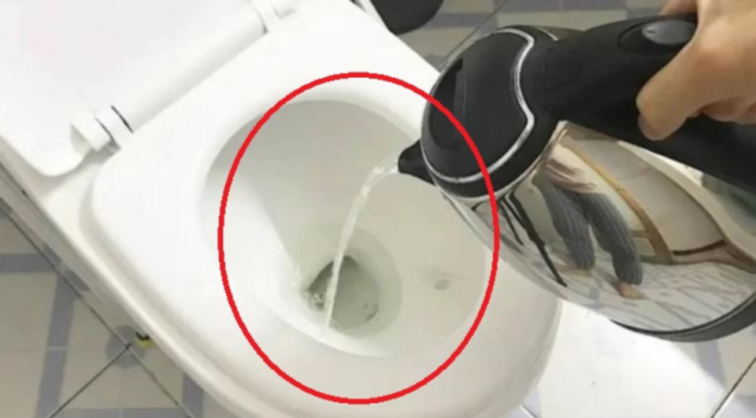 Why hotel staff advise: ‘Boil hot water and pour it into the toilet as soon as you check in’?