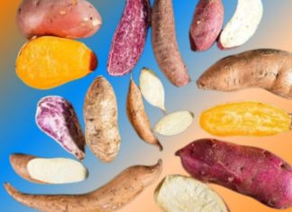 Should you buy purple or white sweet potatoes, or are yellow ones more nutritious? Many people are unaware of this.