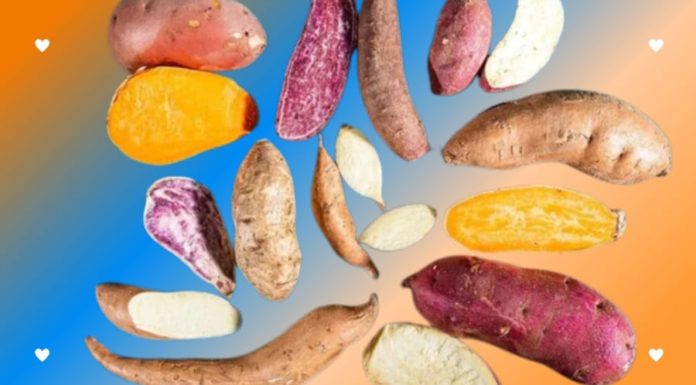 Choose Purple, White, or Yellow Sweet Potatoes: Which Color is Healthier?