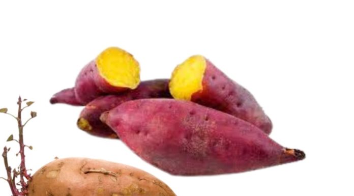 Is it safe to eat sprouted sweet potatoes? Do they increase or decrease nutritional value? Misunderstandings abound.