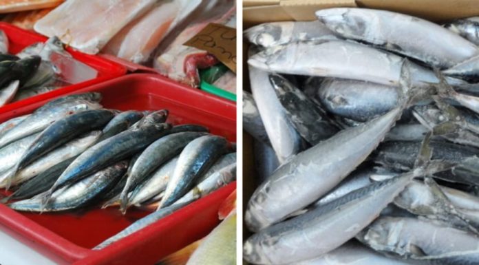 Soak your seafood in this water, fish will be odorless and delicious when cooked.