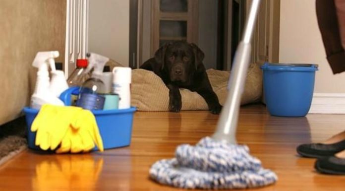 Areas commonly overlooked when cleaning the house for Tet, everyone is guilty