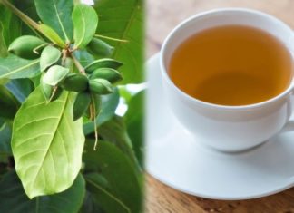 Benefits of Betel Leaf Water for Health