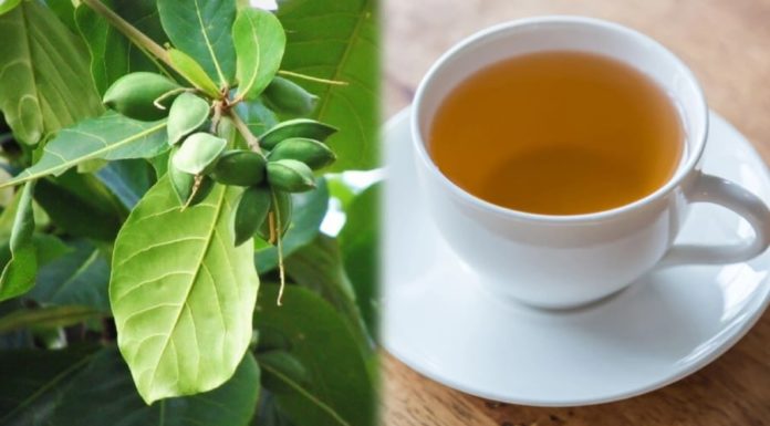 Benefits of Betel Leaf Water for Health
