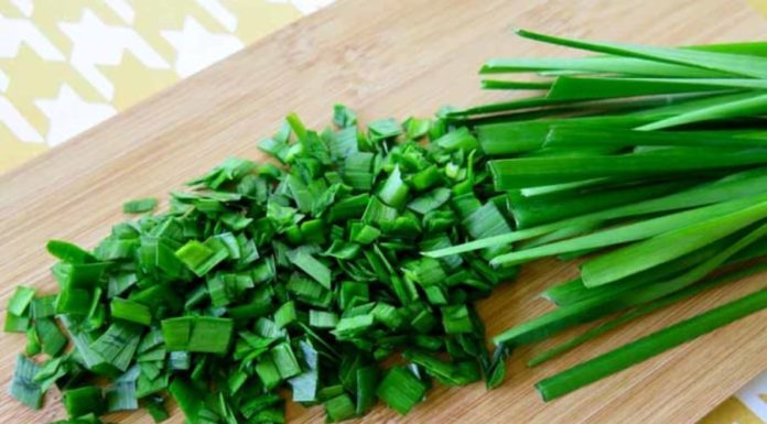 Leek: The Daily Miracle Herb That’s Hiding in Plain Sight