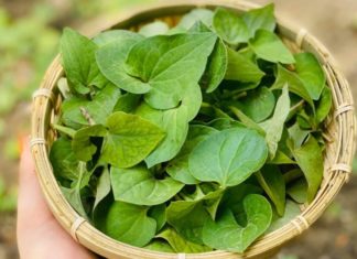 Enhance Liver Function with Easy-to-Make Herbal Dish