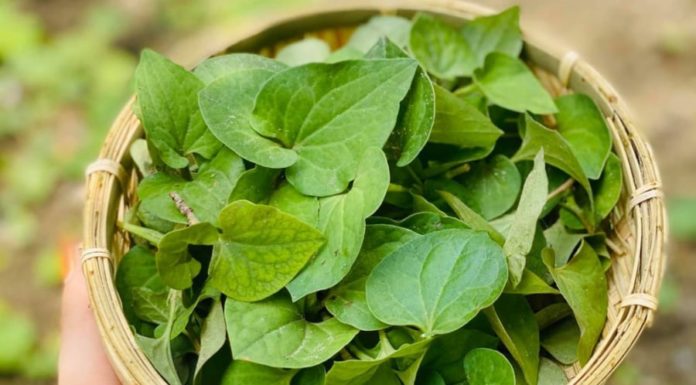 Enhance Liver Function with Easy-to-Make Herbal Dish