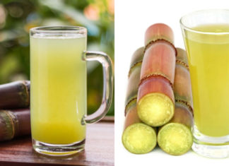 Mild yet effective in controlling blood sugar, nourishing kidneys, and combating potassium – An exceptional soft drink variety