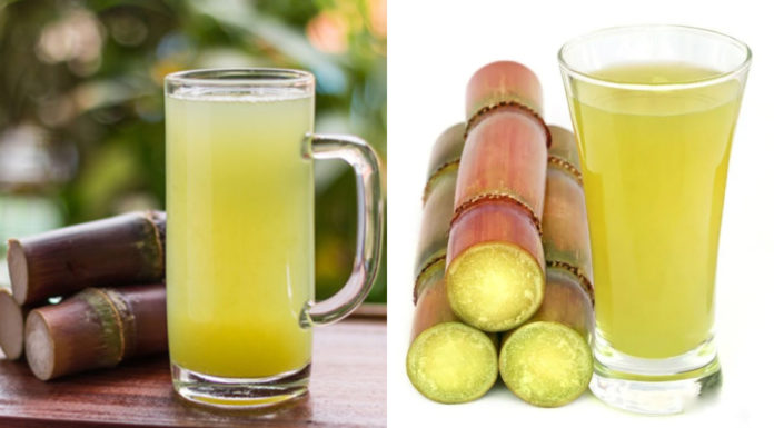 Mild yet effective in controlling blood sugar, nourishing kidneys, and combating potassium – An exceptional soft drink variety