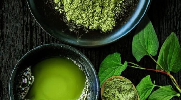 Secrets to Lowering Blood Sugar and Detoxifying Your Body with Garden-Fresh Vegetables