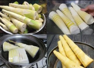 Don’t just pour lukewarm water into the pot when boiling bamboo shoots: This is how to remove toxins and make the bamboo shoots soft and fragrant.