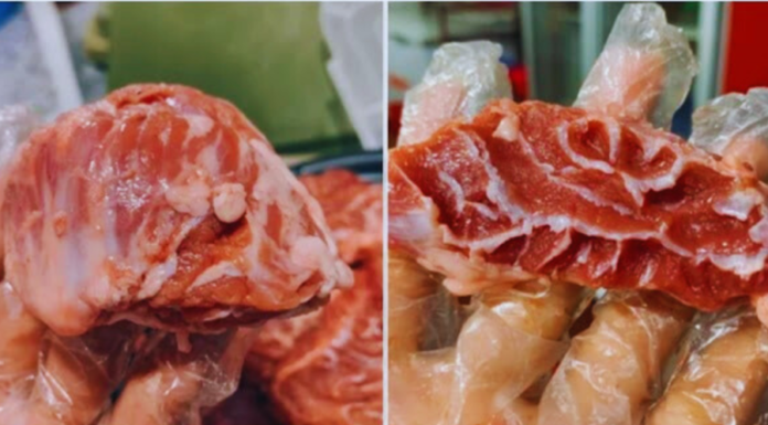 The pig’s trotter: Tender, flavorful, and more nutritious than beef. Don’t miss out on this tasty treat!