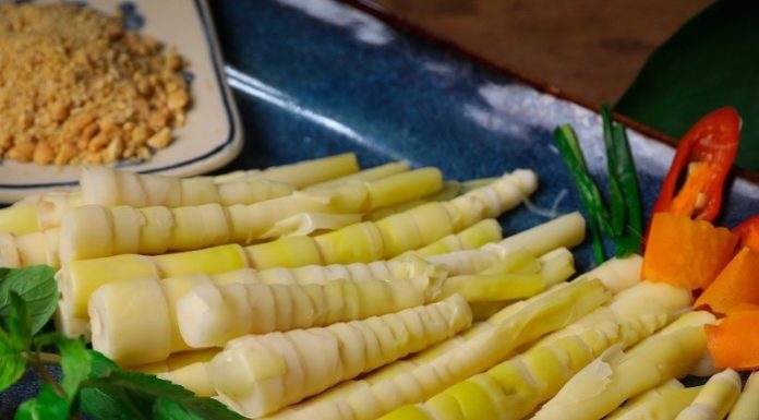 Delicious Recipes to Make with Bamboo Shoots: Enjoy the Season of Bamboo Shoots with These 4 Mouth-watering Dishes