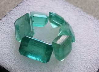 The Luckiest Colors of 2024 – Applying Lucky Colors to Your Life