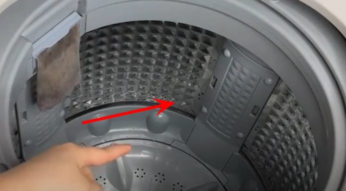The Essential Component in Washing Machines: A Monthly Clean Out for Fresh and Fragrant Laundry