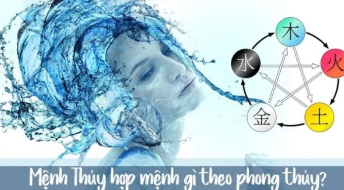 Personality of a water zodiac sign: Emotional and adaptable
