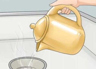 5 effective tips to prevent cockroaches from crawling out of drains during rainy season.