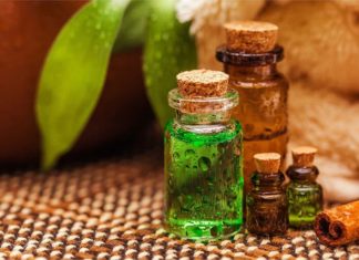 10 Effective Ways to Get Rid of Mosquitoes Permanently, Simple and Mosquito-Free