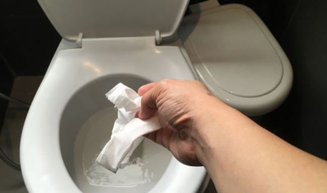 Should toilet paper be thrown in the toilet or the trash bin? Not everyone knows the correct answer