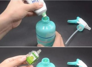 Mix Toothpaste with Eucalyptus Oil: Solve a Common Household Problem, Save a Bunch of Money