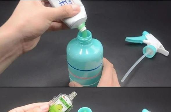 Mix Toothpaste with Eucalyptus Oil: Solve a Common Household Problem, Save a Bunch of Money