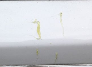 How to remove tree sap from a car?