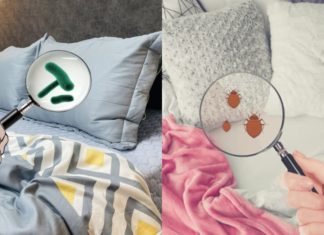 Bedroom has 3 blind spots: cleaning tips to not just tidy up but improve health and sleep