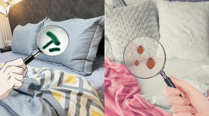 Bedroom has 3 blind spots: cleaning tips to not just tidy up but improve health and sleep