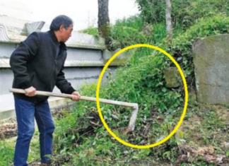 What does the folk saying ‘3 no planting in front of the tomb, 4 no placing on the bed’ mean?