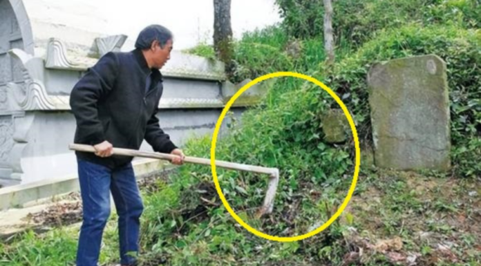 What does the folk saying ‘3 no planting in front of the tomb, 4 no placing on the bed’ mean?