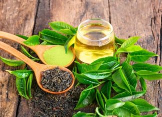 What Happens to Your Body When You Drink Green Tea Every Morning? Find Out Now!