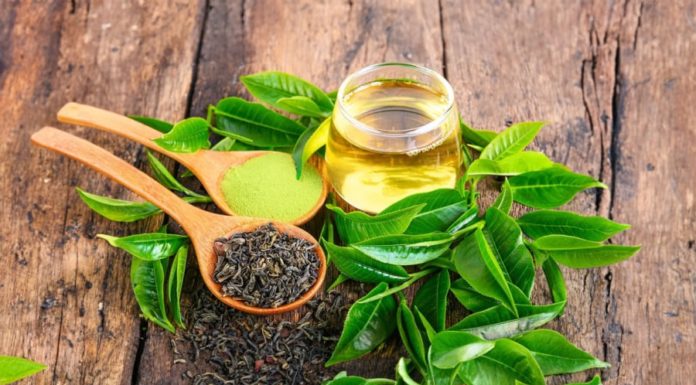 What Happens to Your Body When You Drink Green Tea Every Morning? Find Out Now!