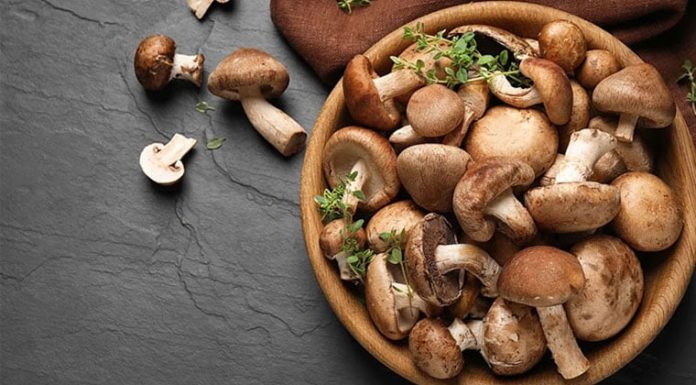 Vegan-friendly “meat” substitute selling for $100/kg at local market, delicious sweet and sour sauce included