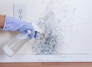 Get Rid of Mold on Walls and Ceilings with These Effective Water-based Cleaners