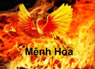 Best Careers for Fire Element Individuals in the Future