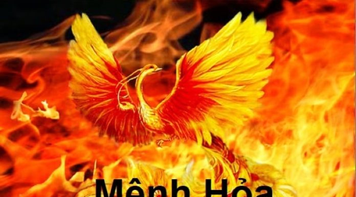 Best Careers for Fire Element Individuals in the Future