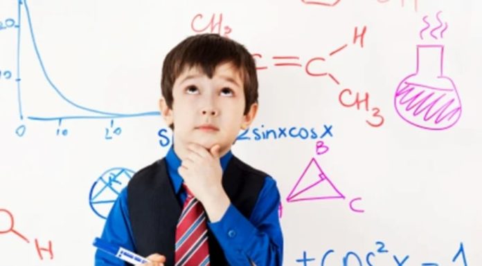 Recognizing 5 Characteristics of High IQ Children