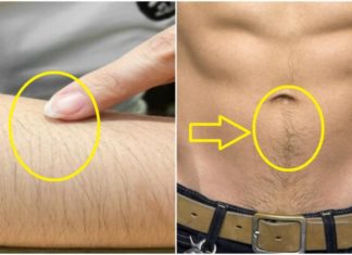 Ancestral Advice: “First, hairy-armed women; second, beer-bellied men” – what kind of people are they?